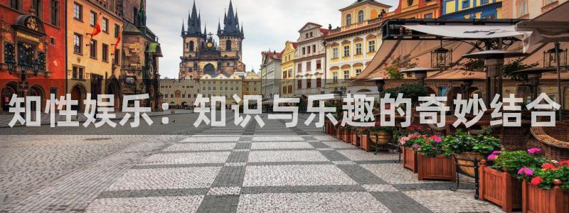 三牛娱乐：知性娱乐：知识与乐趣的奇妙结合