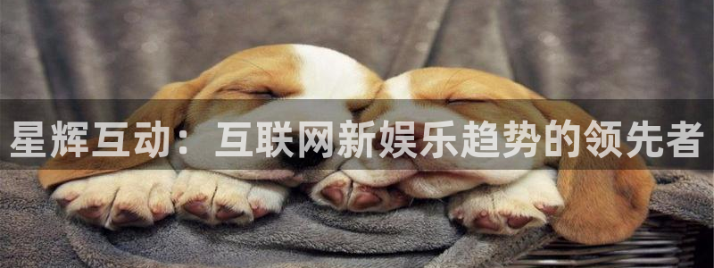 三牛娱乐：星辉互动：互联网新娱乐趋势的领先者