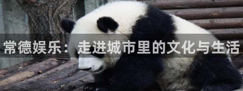 三牛娱乐：常德娱乐：走进城市里的文化与生活