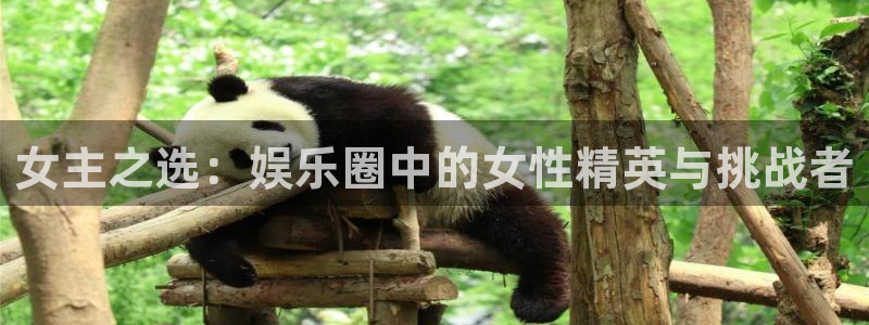 三牛娱乐：女主之选：娱乐圈中的女性精英与挑战者