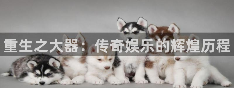 三牛娱乐：重生之大器：传奇娱乐的辉煌历程