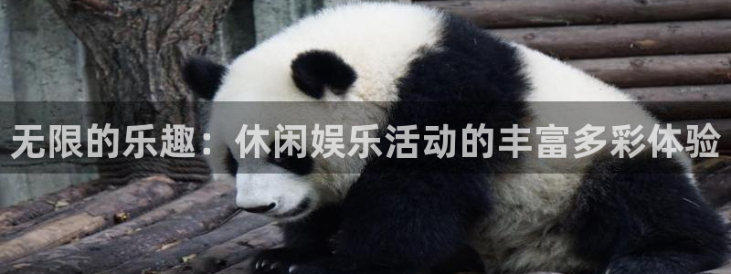 三牛娱乐：无限的乐趣：休闲娱乐活动的丰富多彩体验